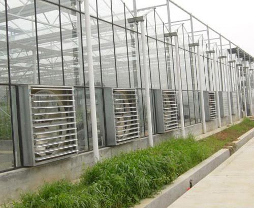 濕簾風(fēng)機降溫系統(tǒng)